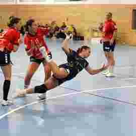 tsv heiningen - sg h2ku herrenberg
