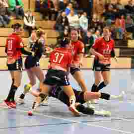 tsv heiningen - sg h2ku herrenberg