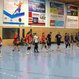 tsv heiningen - sg h2ku herrenberg