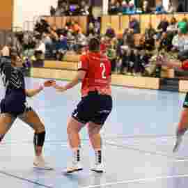 tsv heiningen - sg h2ku herrenberg
