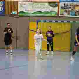 tsv heiningen - sg h2ku herrenberg