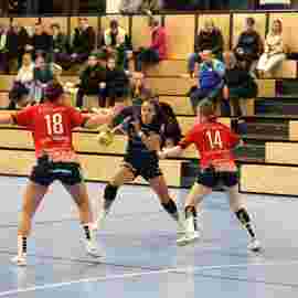 tsv heiningen - sg h2ku herrenberg