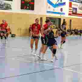tsv heiningen - sg h2ku herrenberg