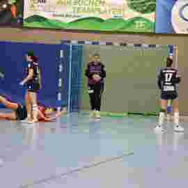 tsv heiningen - sg h2ku herrenberg