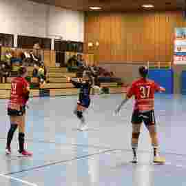 tsv heiningen - sg h2ku herrenberg