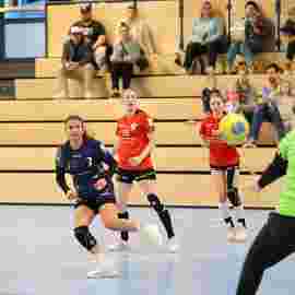 bonitas - sv hohenacker-neustadt 16.03.2024