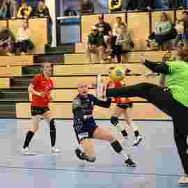 bonitas - sv hohenacker-neustadt 16.03.2024