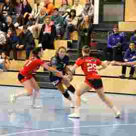 bonitas - hsg bargau/bettringen 21.02.2026