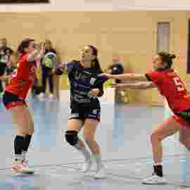 bonitas - hsg bargau/bettringen 21.02.2026