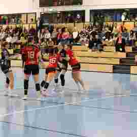 bonitas - hsg bargau/bettringen 21.02.2026