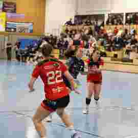 bonitas - hsg bargau/bettringen 21.02.2026
