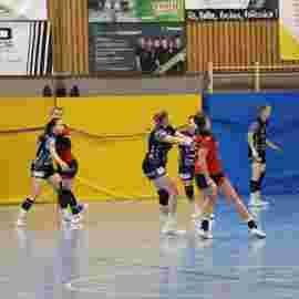 bonitas - hsg bargau/bettringen 21.02.2026