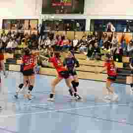 bonitas - hsg bargau/bettringen 21.02.2026