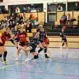 bonitas - hsg bargau/bettringen 21.02.2026