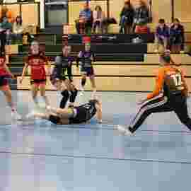bonitas - hsg bargau/bettringen 21.02.2026