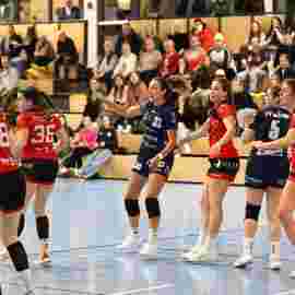 bonitas - hsg bargau/bettringen 21.02.2026