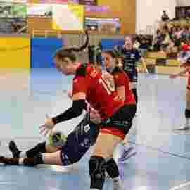 bonitas - hsg bargau/bettringen 21.02.2026