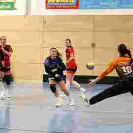 bonitas - hsg bargau/bettringen 21.02.2026