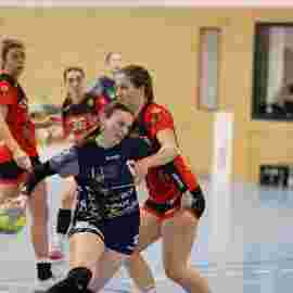 bonitas - hsg bargau/bettringen 21.02.2026