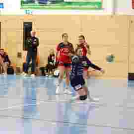 bonitas - hsg bargau/bettringen 21.02.2026