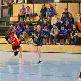 bonitas - hsg bargau/bettringen 21.02.2026