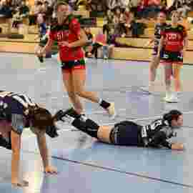 bonitas - hsg bargau/bettringen 21.02.2026