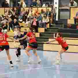 bonitas - hsg bargau/bettringen 21.02.2026
