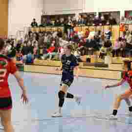 bonitas - hsg bargau/bettringen 21.02.2026