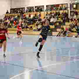 bonitas - hsg bargau/bettringen 21.02.2026