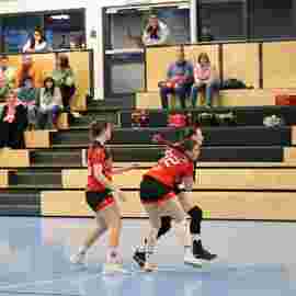 bonitas - hsg bargau/bettringen 21.02.2026