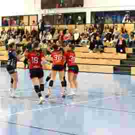bonitas - hsg bargau/bettringen 21.02.2026