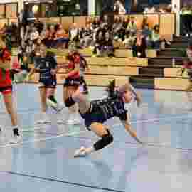 bonitas - hsg bargau/bettringen 21.02.2026