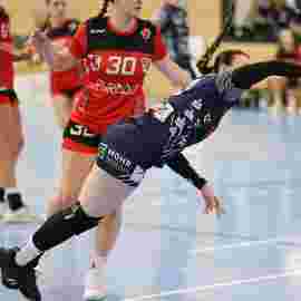 bonitas - hsg bargau/bettringen 21.02.2026