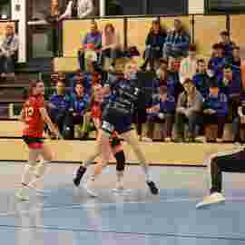 bonitas - hsg bargau/bettringen 21.02.2026