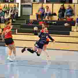 bonitas - hsg bargau/bettringen 21.02.2026