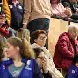 bonitas - hsg bargau/bettringen 21.02.2026