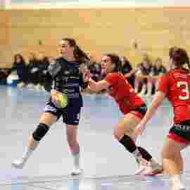 bonitas - hsg bargau/bettringen 21.02.2026