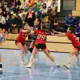 bonitas - hsg bargau/bettringen 21.02.2026
