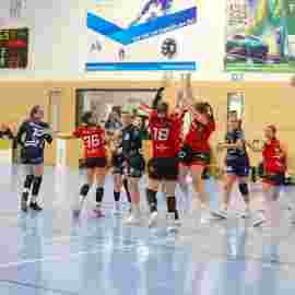 bonitas - hsg bargau/bettringen 21.02.2026