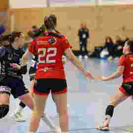 bonitas - hsg bargau/bettringen 21.02.2026