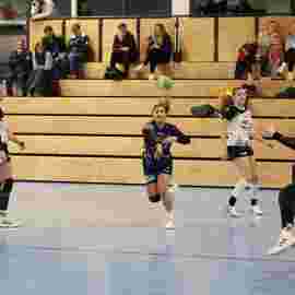 bonitas - sg dornstetten 31.01.2026