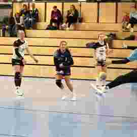 bonitas - sg dornstetten 31.01.2026