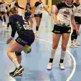 bonitas - sg dornstetten 31.01.2026