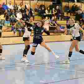 bonitas - sg dornstetten 31.01.2026