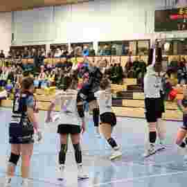bonitas - sg dornstetten 31.01.2026
