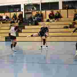 bonitas - sg dornstetten 31.01.2026