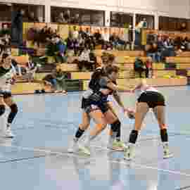 bonitas - sg dornstetten 31.01.2026