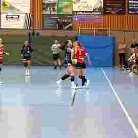 bonitas - vfl pfullingen 04.04.2026