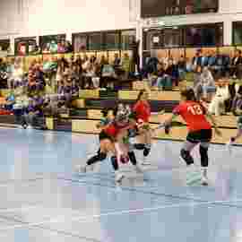 bonitas - sv hohenacker-neustadt 24.10.2026