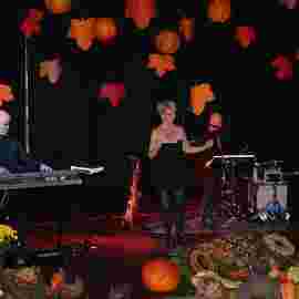 k&uuml;rbisball 2013